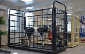 Весы для животных Эльтон 3000 кг