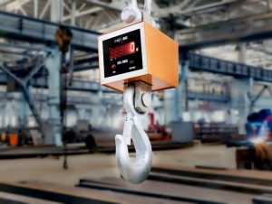 Весы крановые ВЭК 30000 кг